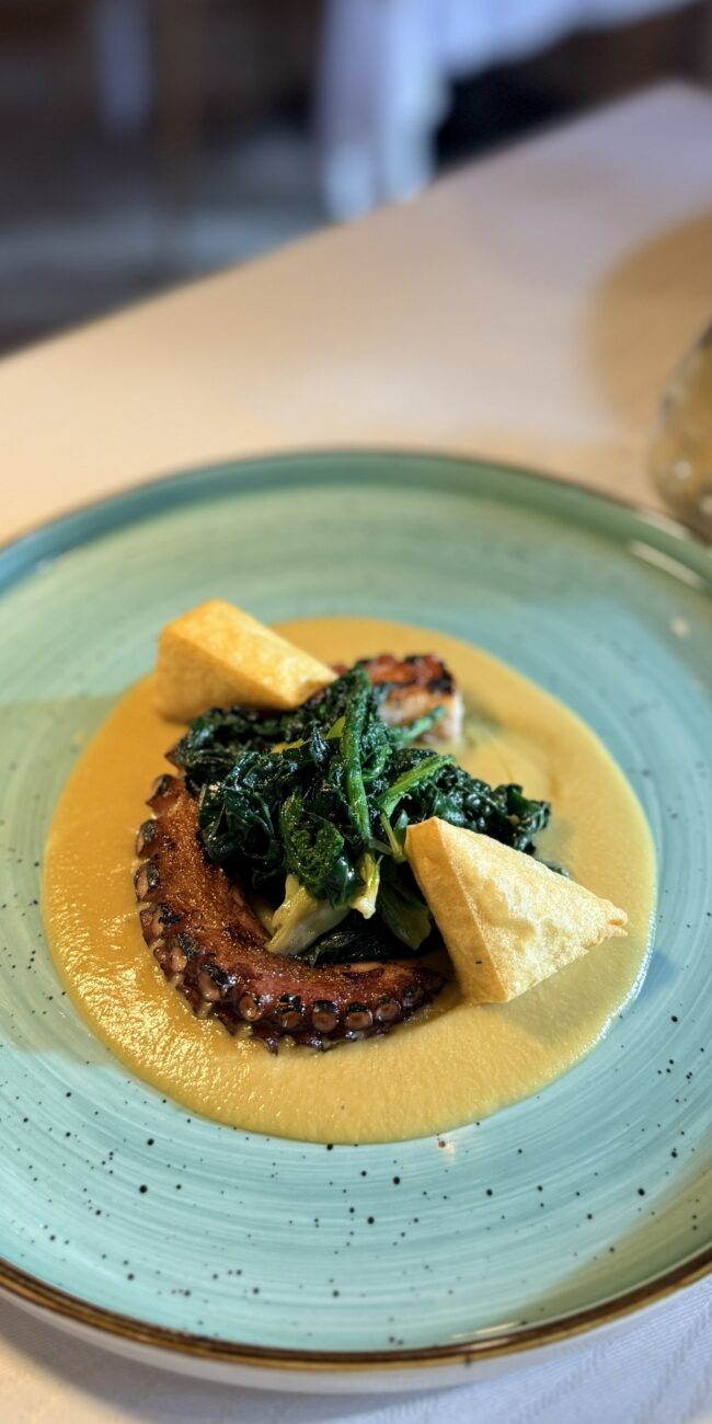 Tentacolo_Polpo